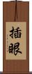 插眼 Scroll