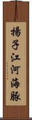 揚子江河海豚 Scroll