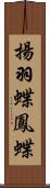 揚羽蝶;鳳蝶 Scroll