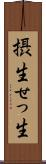 摂生 Scroll