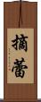 摘蕾 Scroll