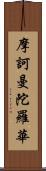 摩訶曼陀羅華 Scroll