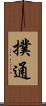 撲通 Scroll