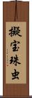 擬宝珠虫 Scroll