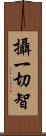 攝一切智 Scroll