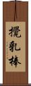 攪乳棒 Scroll