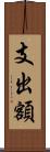 支出額 Scroll