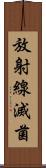 放射線滅菌 Scroll