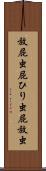 放屁虫 Scroll