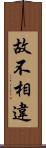 故不相違 Scroll