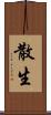 散生 Scroll