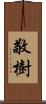 敬樹 Scroll