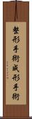整形手術 Scroll