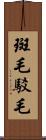 斑毛;駁毛 Scroll