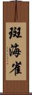 斑海雀 Scroll