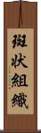 斑状組織 Scroll