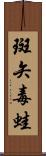 斑矢毒蛙 Scroll