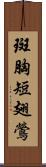 斑胸短翅鶯 Scroll