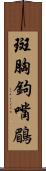 斑胸鉤嘴鶥 Scroll