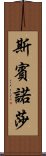 斯賓諾莎 Scroll