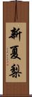 新夏梨 Scroll