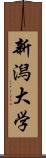 新潟大学 Scroll