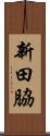 新田脇 Scroll
