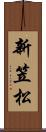 新笠松 Scroll