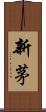 新茅 Scroll