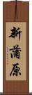 新蒲原 Scroll