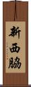 新西脇 Scroll