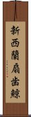 新西蘭扇歯鯨 Scroll