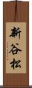 新谷松 Scroll