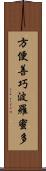 方便善巧波羅蜜多 Scroll