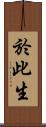於此生 Scroll