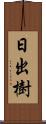 日出樹 Scroll