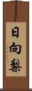 日向梨 Scroll