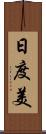 日度美 Scroll