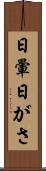 日暈 Scroll