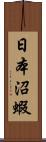 日本沼蝦 Scroll