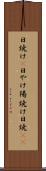 日焼け(P) Scroll