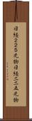 日経２２５先物 Scroll