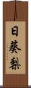 日葵梨 Scroll