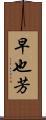 早也芳 Scroll