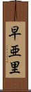 早亜里 Scroll