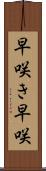 早咲き Scroll