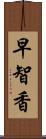 早智香 Scroll