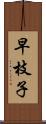 早枝子 Scroll