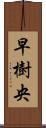 早樹央 Scroll