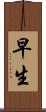 早生 Scroll